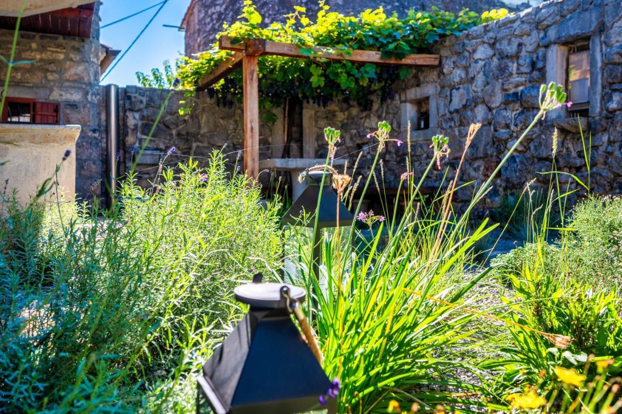 Вилла Karst House Zan Pliskovica With Private Pool Dutovlje Экстерьер фото
