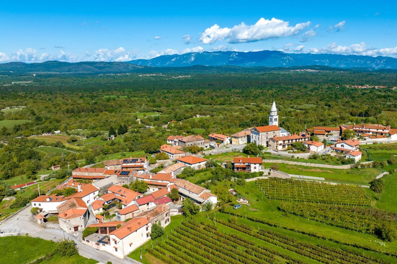 Вилла Karst House Zan Pliskovica With Private Pool Dutovlje Экстерьер фото