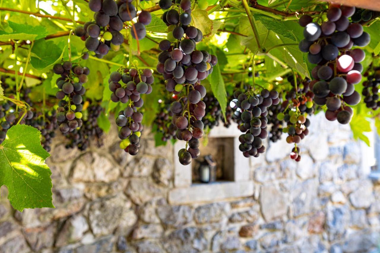 Вилла Karst House Zan Pliskovica With Private Pool Dutovlje Экстерьер фото